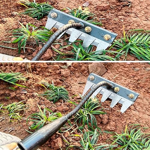 Iron Rake for Gardening and Weeding - Heavy Duty Garden Tool