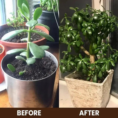Soil Activator: Plants' Best Friend - Rejuvenate Your Plants🎁 ( BUY 1 GET 1 FREE )✨